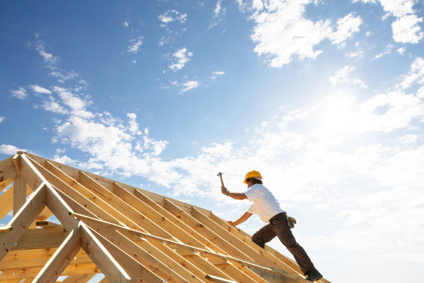 Roof Maintenance